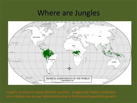 jungle world|what countries have jungles.